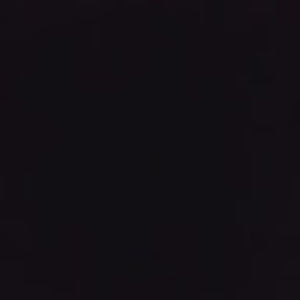 Meet your Posher, Gabrielle